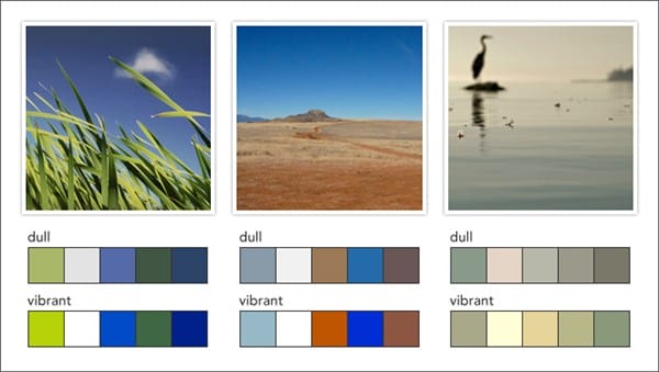 Color Palette Generator